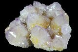 Cactus Quartz (Amethyst) Crystal Cluster - South Africa #180725-1